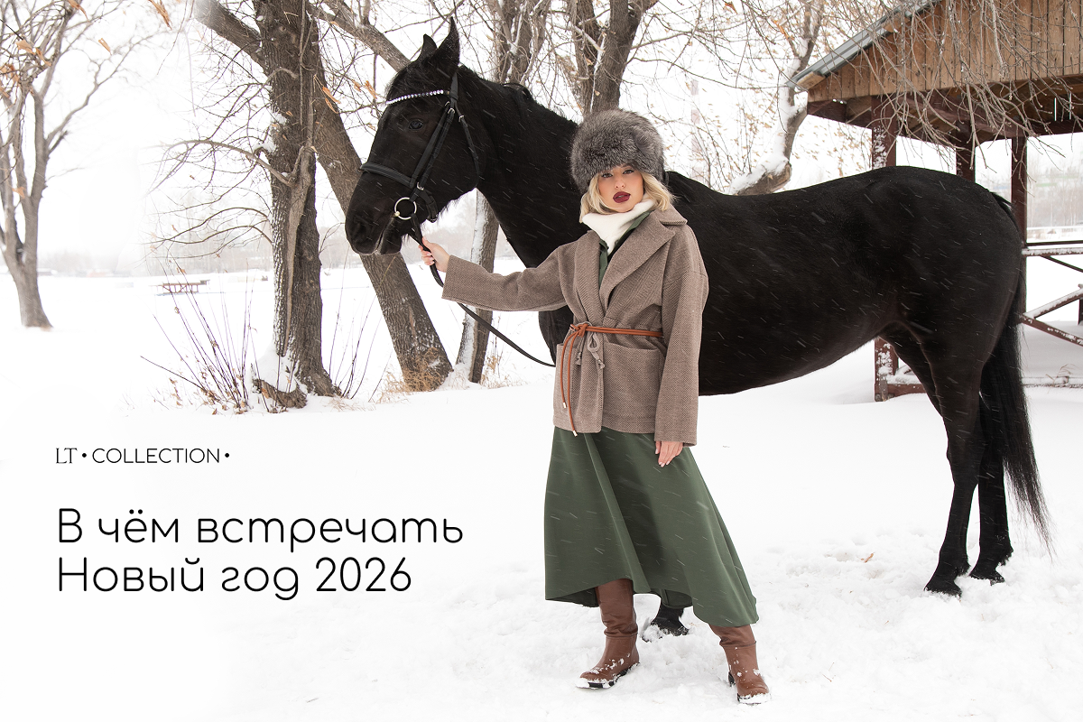 В чём встречать Новый год 2026: образы для каждого знака зодиака. Часть 1 В чём встречать Новый год 2026: образы для каждого знака зодиака. Часть 1