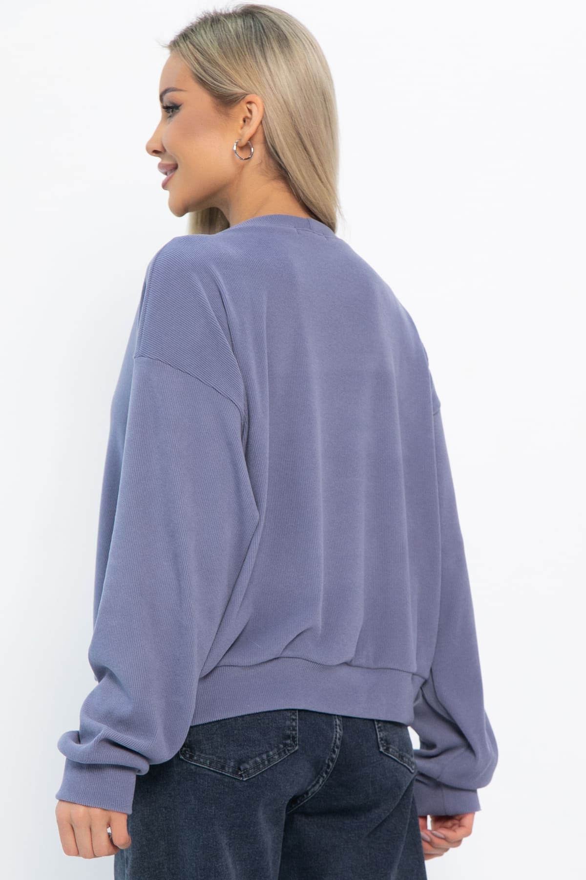 Свитшот Эфес (серый) Б14902-25М