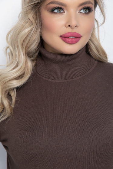 Водолазка Зимняя история (шоколад) Б14535-20М